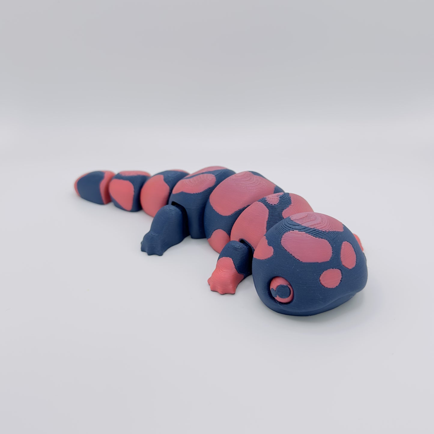 Salamander